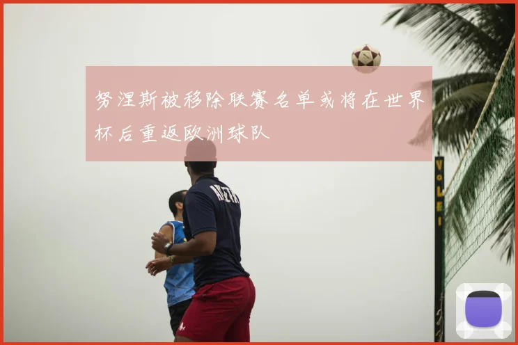 努涅斯被移除联赛名单或将在世界杯后重返欧洲球队