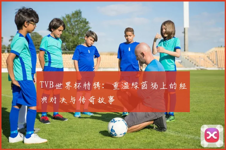 TVB世界杯特辑：重温绿茵场上的经典对决与传奇故事