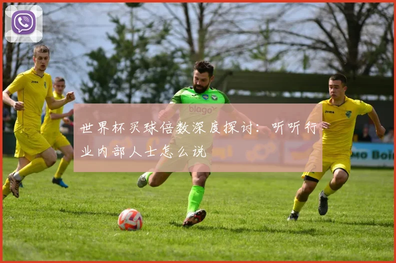 世界杯买球倍数深度探讨：听听行业内部人士怎么说