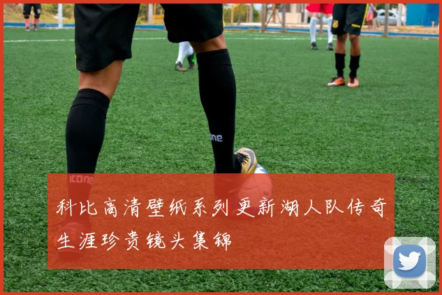 科比高清壁纸系列更新湖人队传奇生涯珍贵镜头集锦