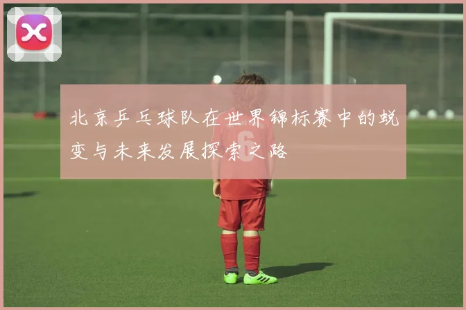 北京乒乓球队在世界锦标赛中的蜕变与未来发展探索之路