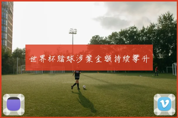 世界杯赌球涉案金额持续攀升