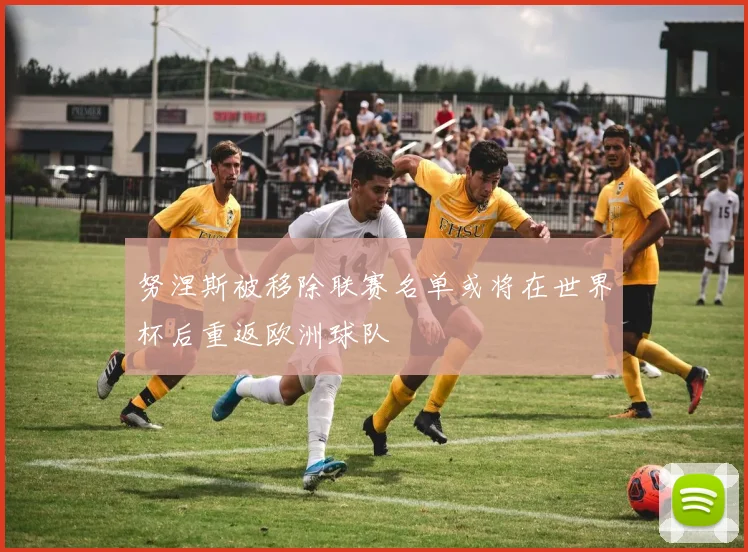 努涅斯被移除联赛名单或将在世界杯后重返欧洲球队