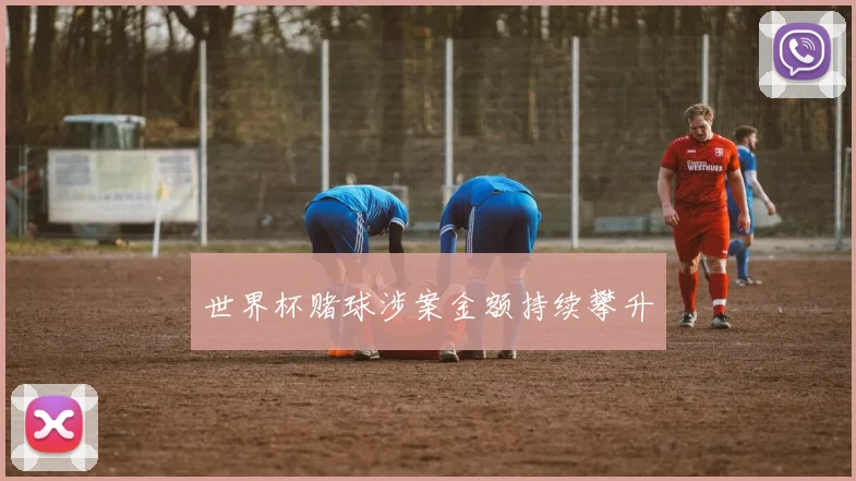 世界杯赌球涉案金额持续攀升