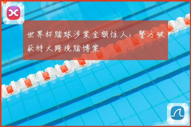 世界杯赌球涉案金额惊人，警方破获特大跨境赌博案