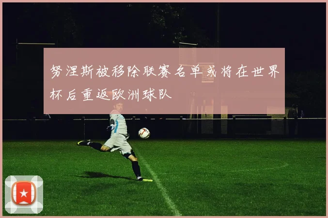 努涅斯被移除联赛名单或将在世界杯后重返欧洲球队