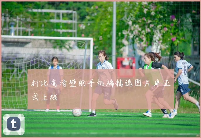 科比高清壁纸手机端精选图片库正式上线