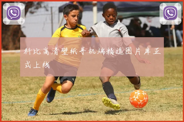 科比高清壁纸手机端精选图片库正式上线