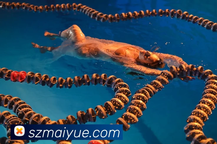 数据防护可视化